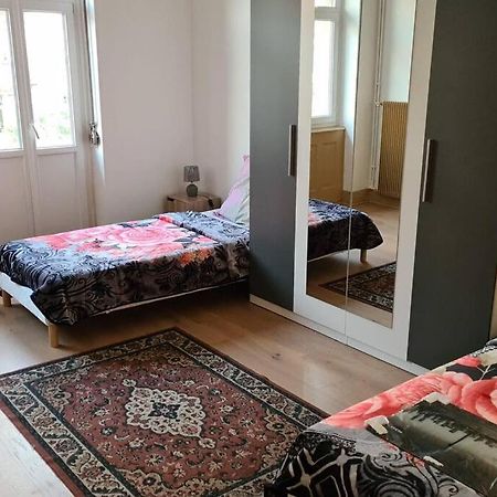 Grand 4P Strasbourg Orangerie 7 Personnes Proche D Allemagne Esterno foto
