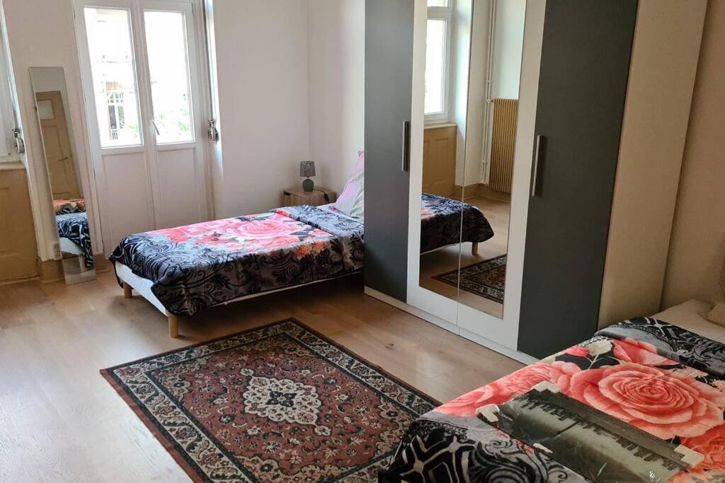 Grand 4P Strasbourg Orangerie 7 Personnes Proche D Allemagne Esterno foto